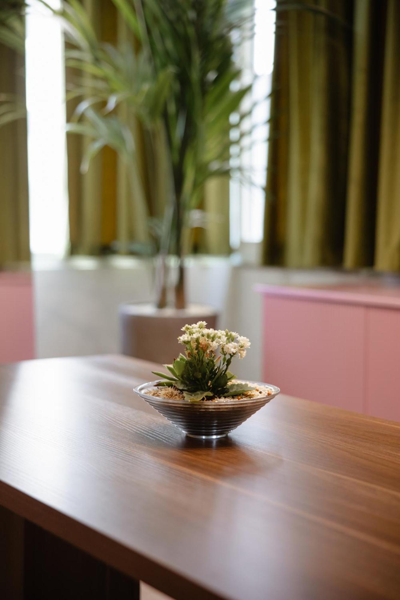 Corner Hostel شكودر المظهر الخارجي الصورة